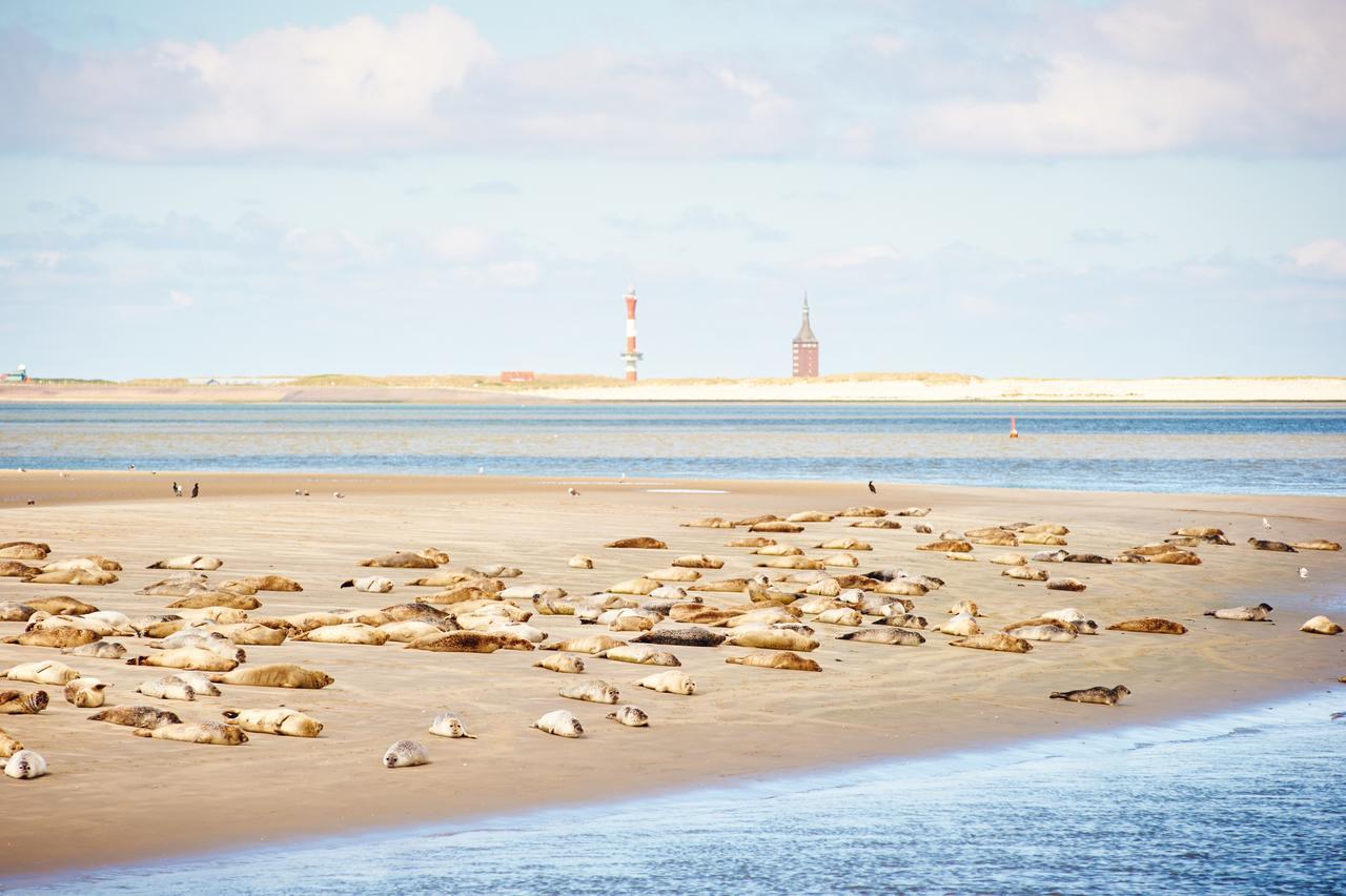 Jugendherberge Wangerooge Wangerooge Island Exterior photo